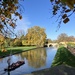 Cambridge Sunshine 