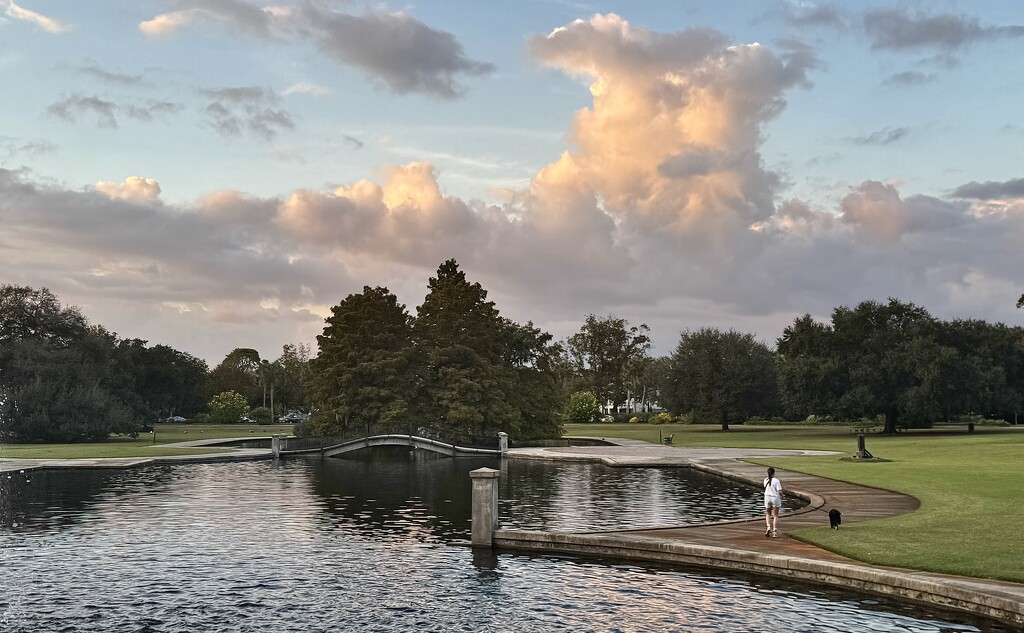 Hampton Park by congaree