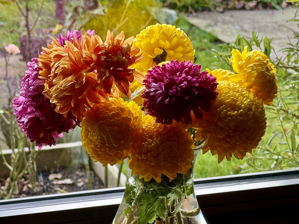 Flowers from a Friend's Garden by susiemc