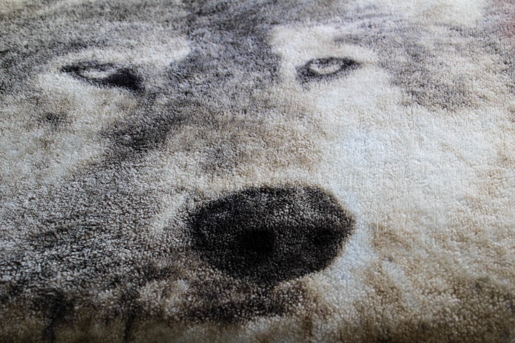 There's a wolf on my blanket by mittens