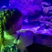 Granddaughter Maddie at Sea Life Sydney Aquarium. 