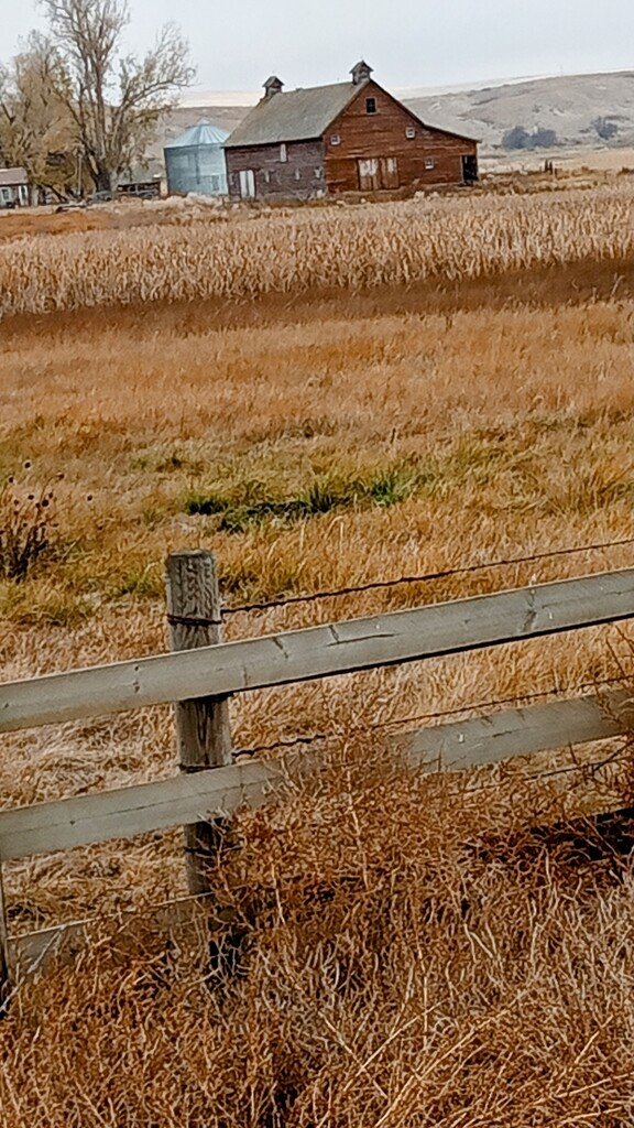 Distant Barn by bjywamer