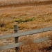 Distant Barn