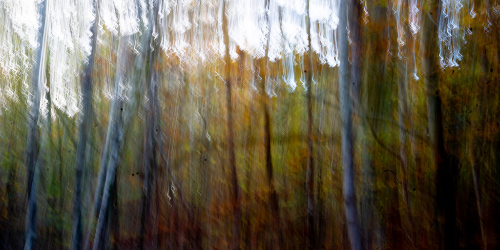 Autumn ICM by hannahcallier