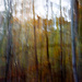 Autumn ICM