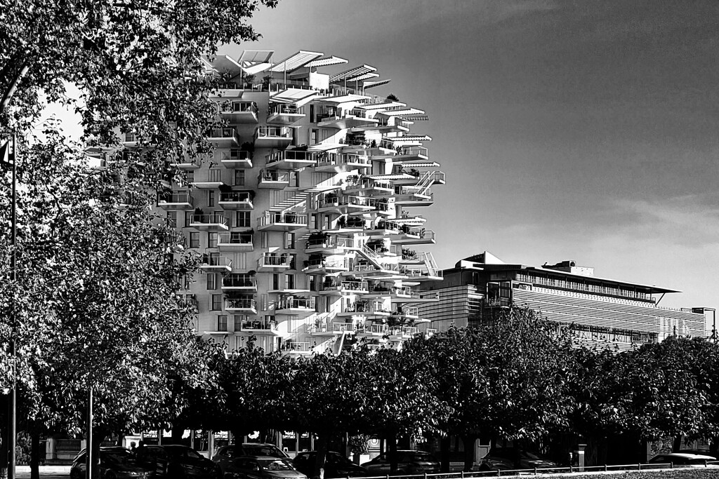 L'arbre blanc by laroque