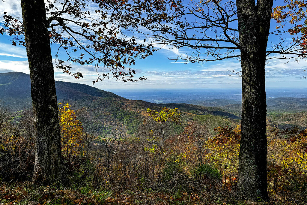 Mill Creek Overlook near Lake Conasauga by k9photo