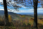 12th Nov 2024 - Mill Creek Overlook near Lake Conasauga