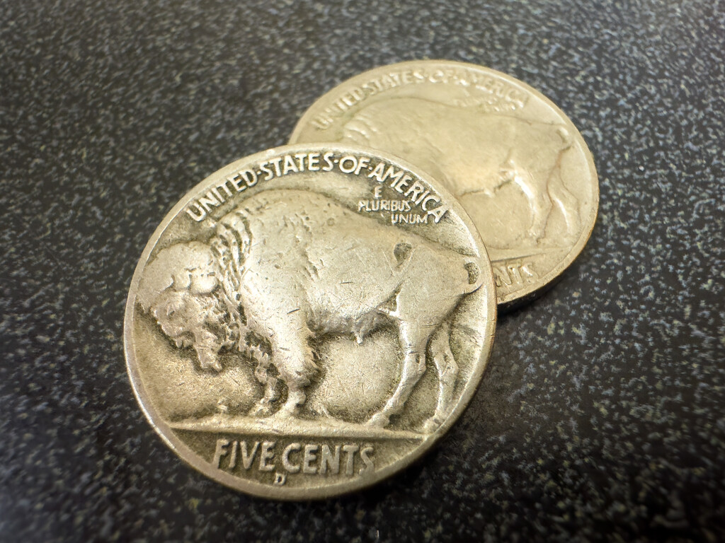 Buffalo Coins by jeffjones