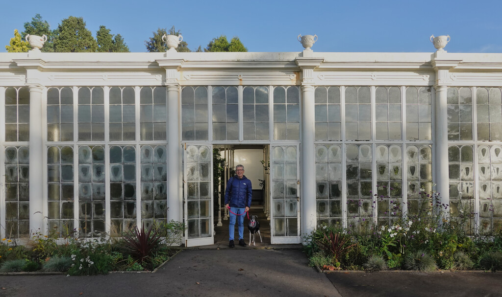 Wollaton Park, Camellia House by phil_howcroft