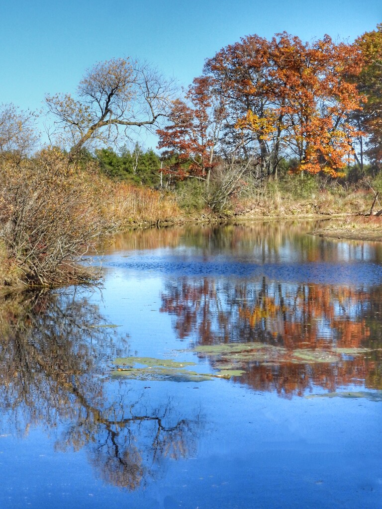 more November reflections… by amyk