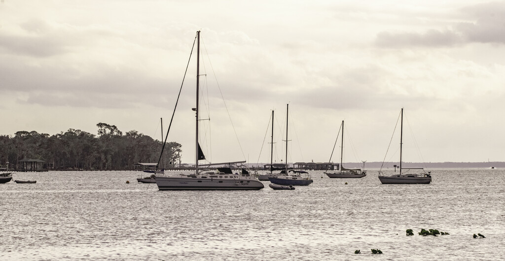 Sailboats at Anchor! by rickster549