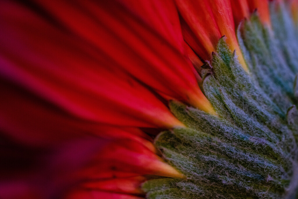 Underside by tosee