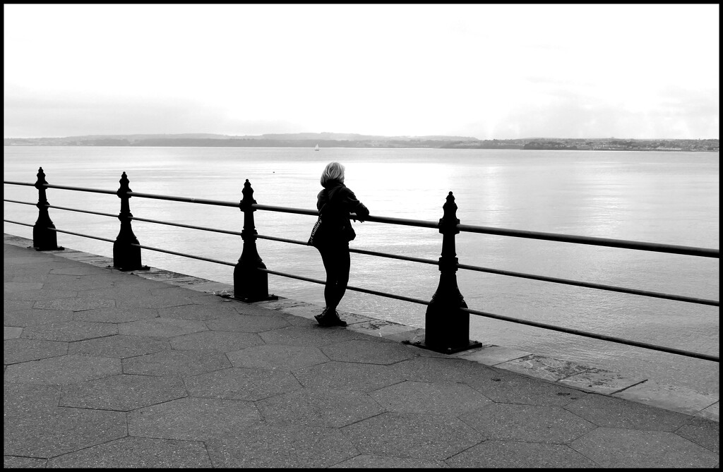 Paignton by steveandkerry