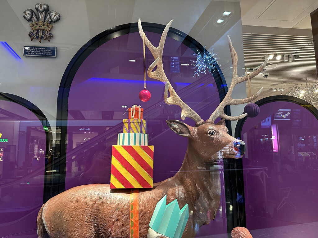 Heathrow: Fortnum and Masons window by pusspup