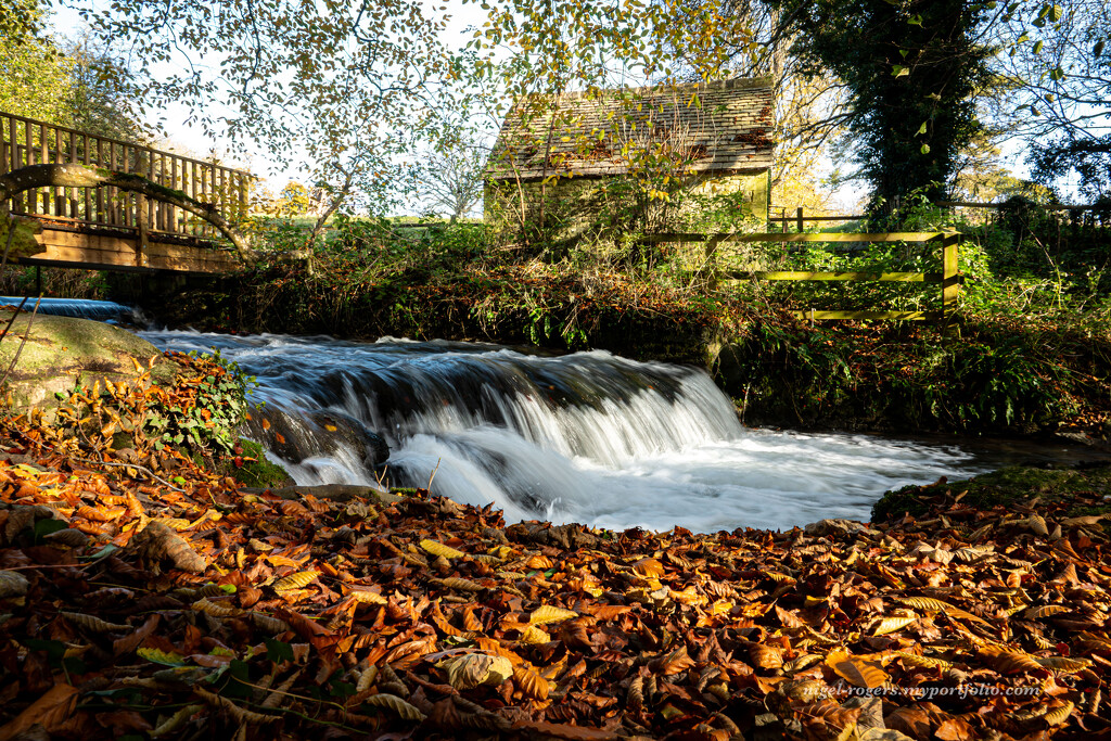 Morning light at the cascades by nigelrogers