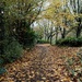 autumn path