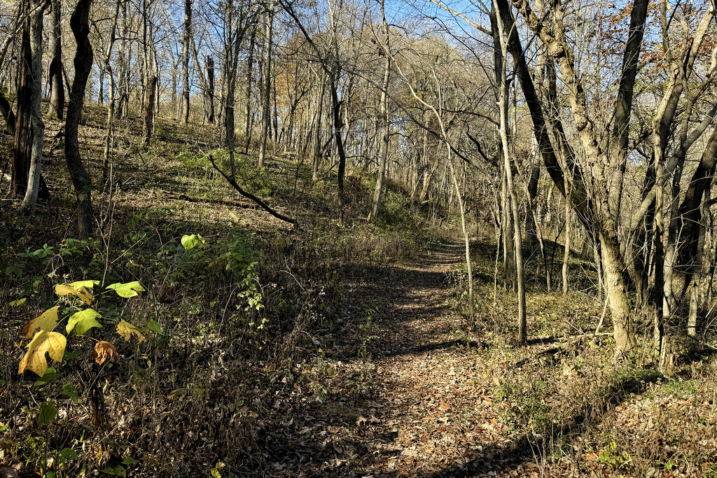 On The Trail, Late Autumn by lsquared