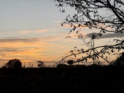 14th Nov 2024 - Sunrise at Horse Creek Winery