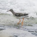 FLEEING THE FLOODING WATERS