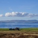 LOOKING OVER TO HOY