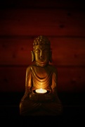 15th Nov 2024 - Budda