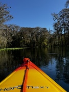 15th Nov 2024 - Paddling the Silver River