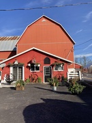 15th Nov 2024 - Big Red Barn