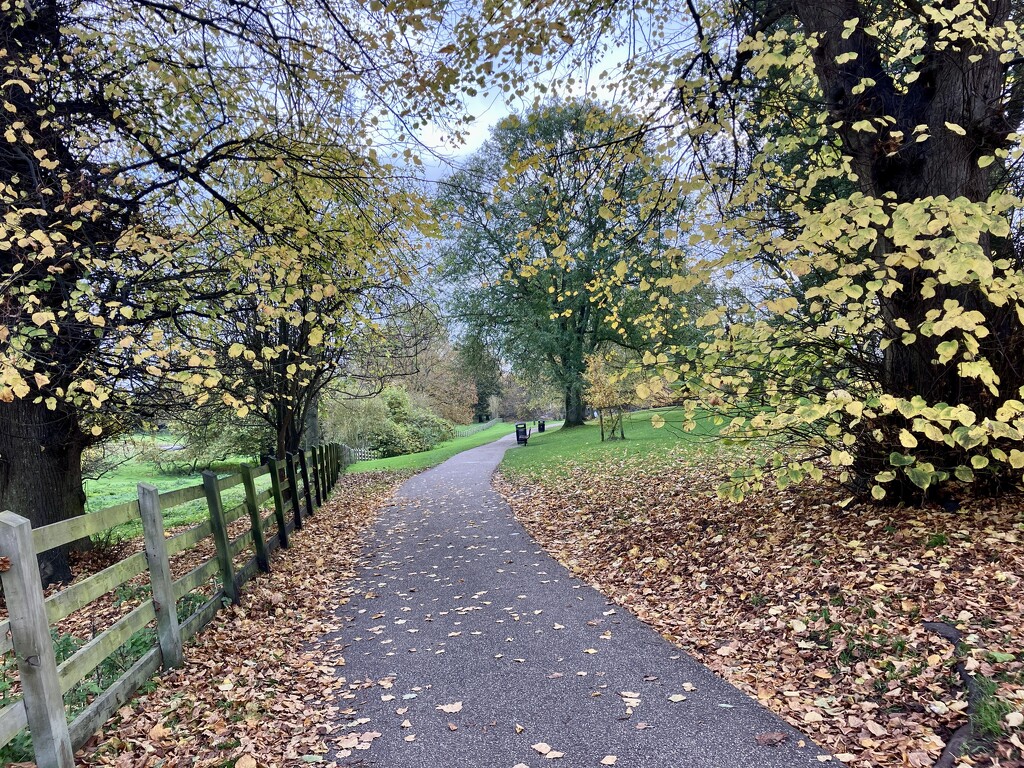 Meadow Path by foxes37