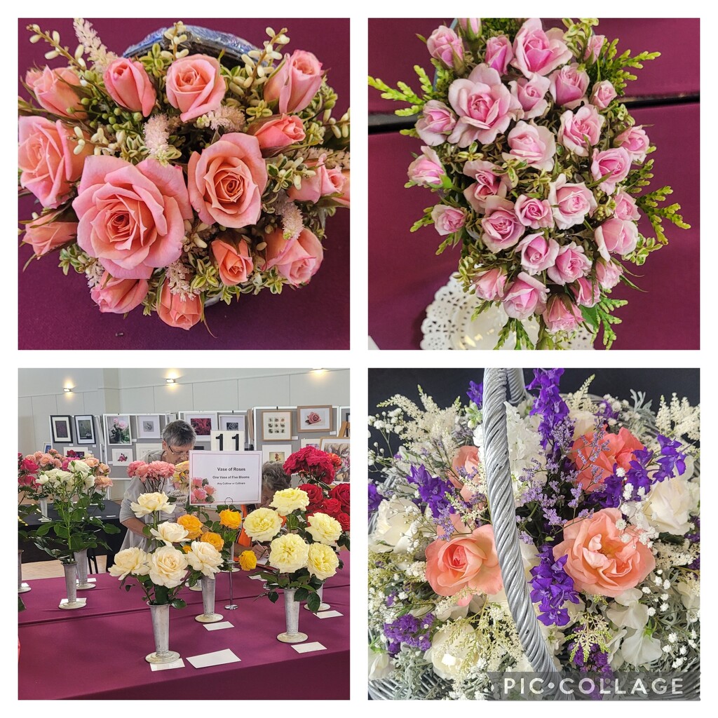 National Rose Convention.. by julzmaioro