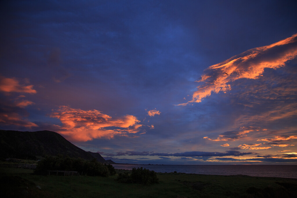 Tora Sunrise by dide