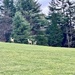Fox Farm Greeting Team