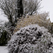 First winter Snow