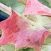 Leaf Abstract 4  by rensala