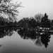 Morning Reflections by darchibald