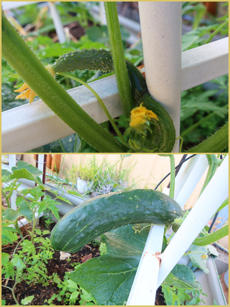 From little things, big things grow by leggzy