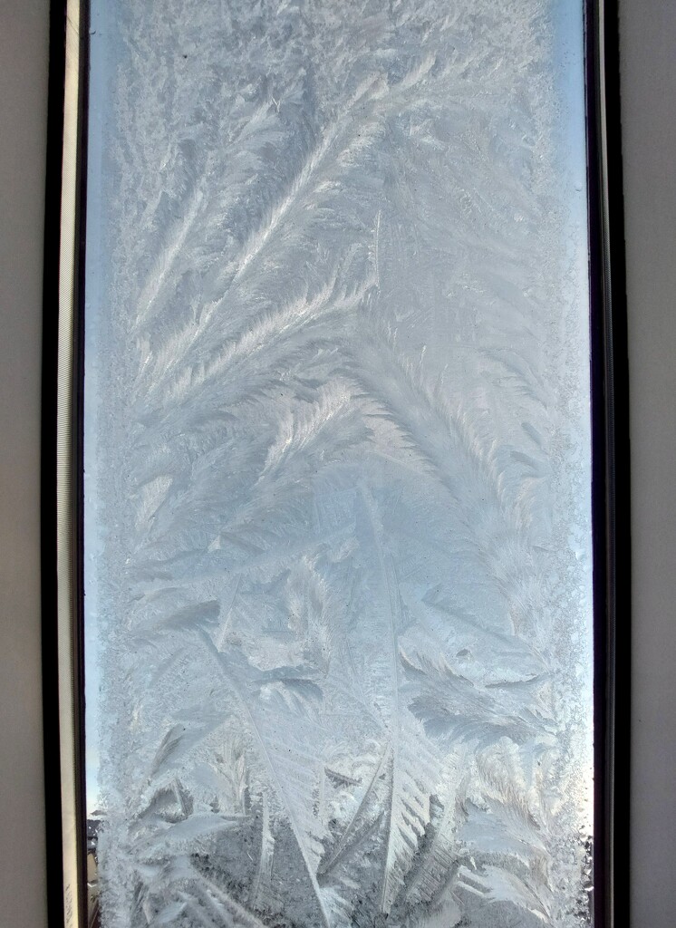 Frozen window by samcat