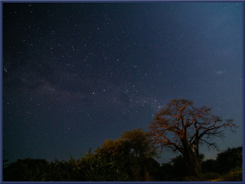 Embrace the night by 365projectorgchristine