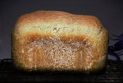 22nd Nov 2024 - A Slice Would Be Nice