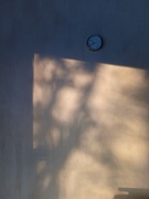 22nd Nov 2024 - Afternoon