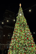 24th Nov 2024 - Dallas Christmas Tree