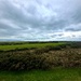 Golf course by wakelys