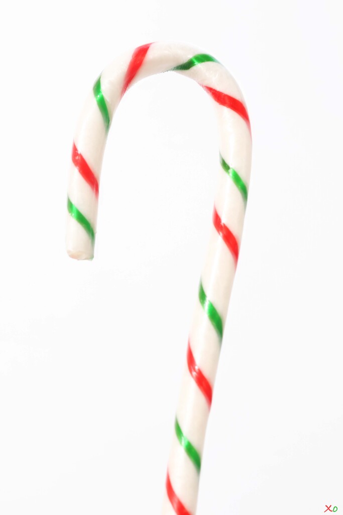 Candy Cane by slang