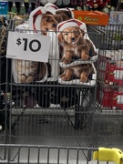 27th Nov 2024 - Cute Display