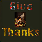 28th Nov 2024 - Give Thanks