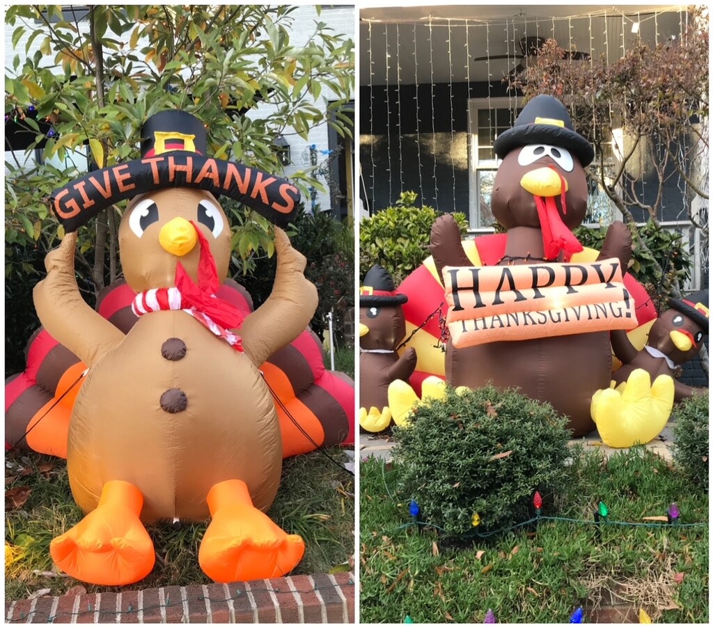 Happy Turkey Day! by allie912