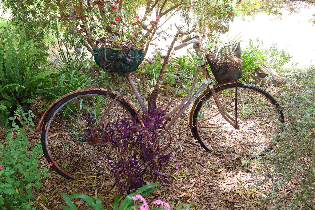 Rusty old bike by leggzy