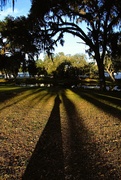29th Nov 2024 - Shadow of My Former Self 
