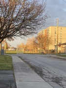 29th Nov 2024 - Cold Morning Light