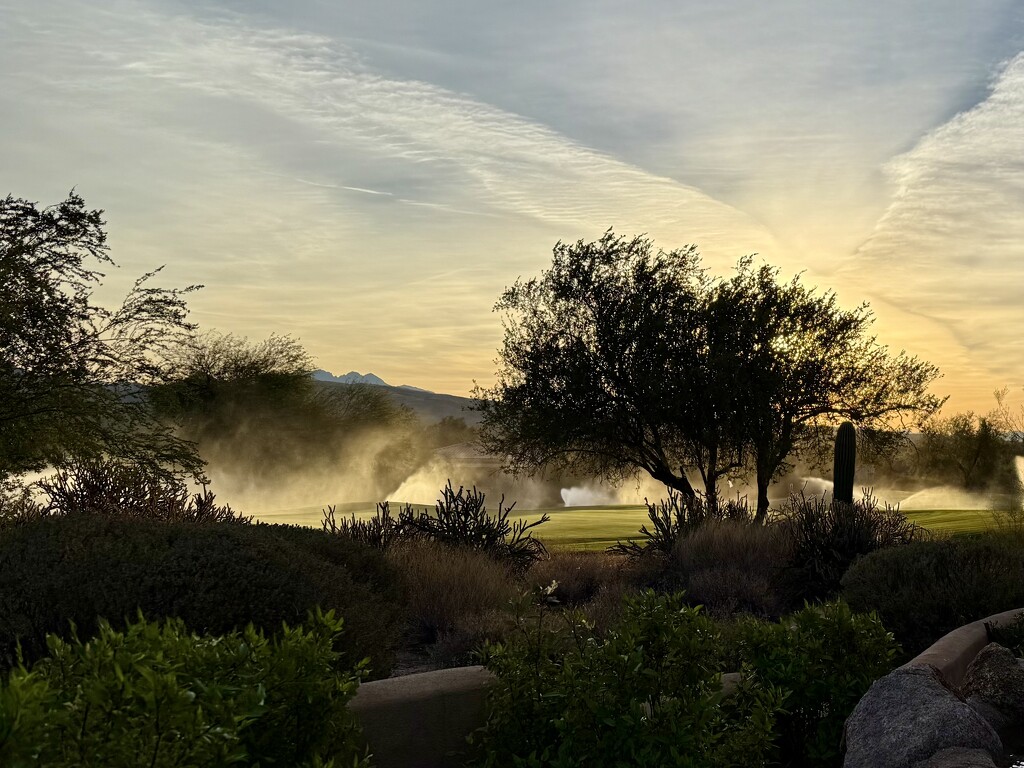 Good Morning Arizona Sunshine by mamabec